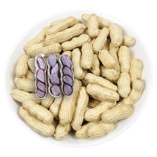 福建龙岩连城红衣湿烤花生五香酥脆小种紫衣四粒红水煮晒特产零食