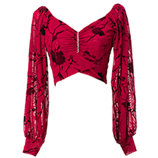 肚皮舞上衣法式方领灯笼袖印花网纱长袖练功服装女高级东方舞蹈服