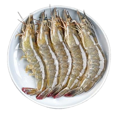 新鲜大虾鲜活超大海虾4斤装2030