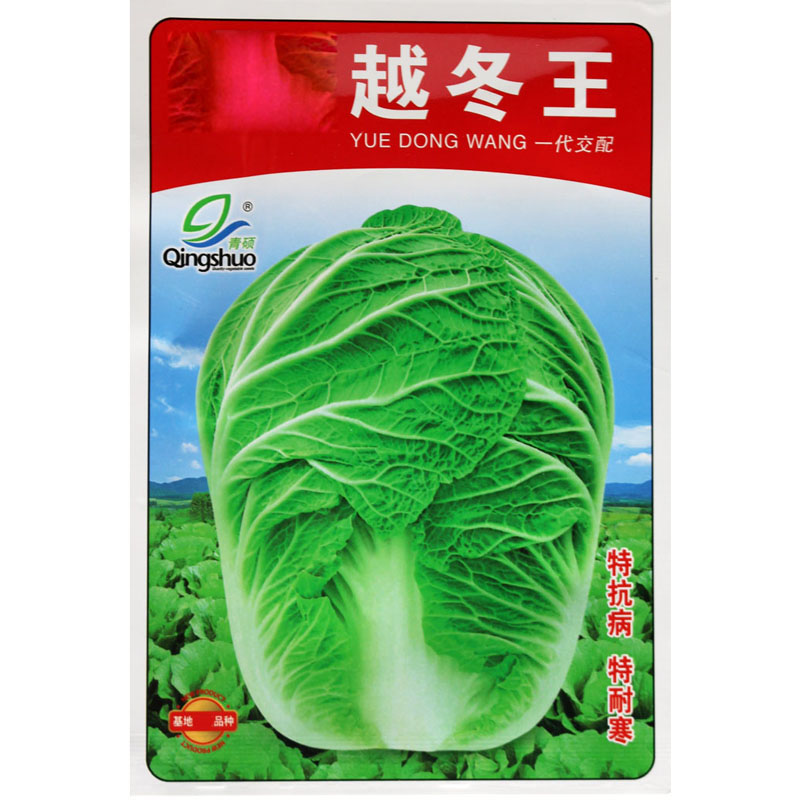 越冬王冬储大白菜种子 抗病高产 秋晚熟大白菜 农家田园秋冬播种