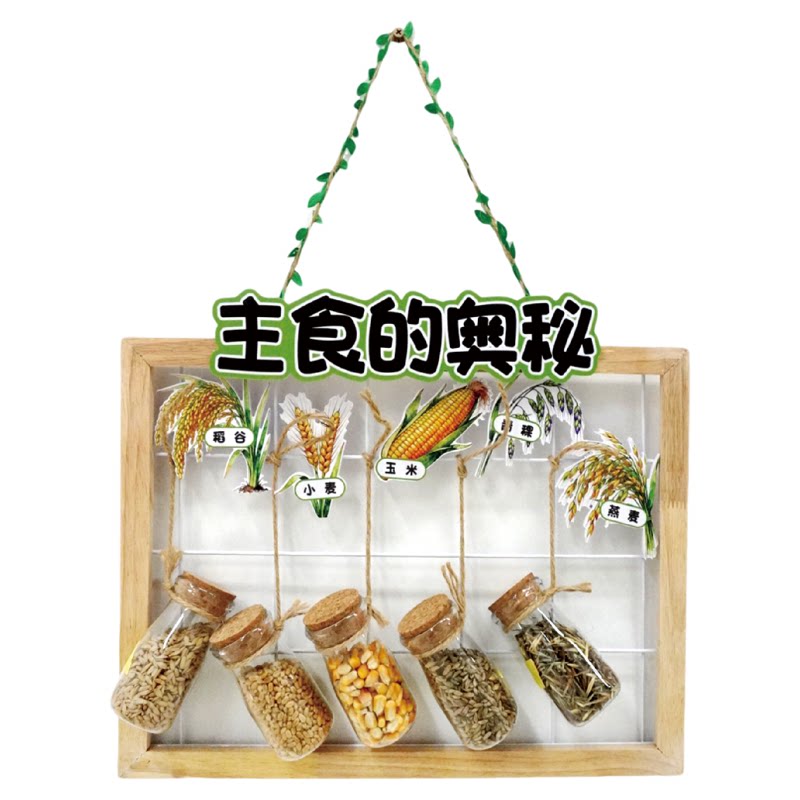 幼儿园种子博物馆主题环创装饰