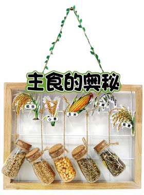 幼儿园种子博物馆主题环创装饰