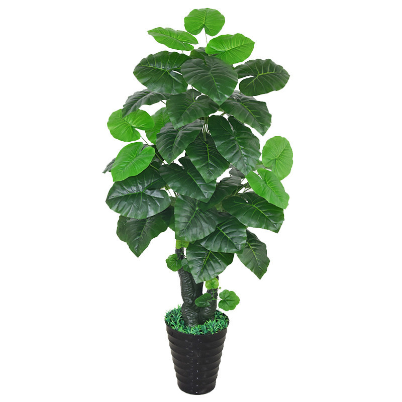 滴水观音塑料花仿真花绿植摆件