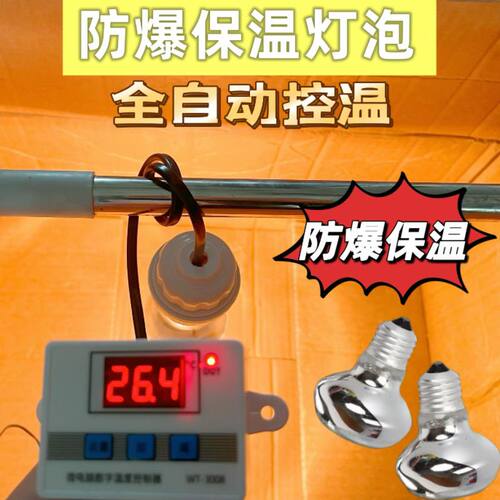自动控温PID小鸡鹌鹑保温箱