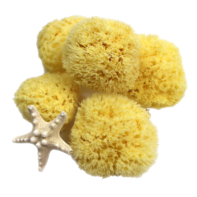 天然洗澡海绵hiyoungmami蜂窝棉