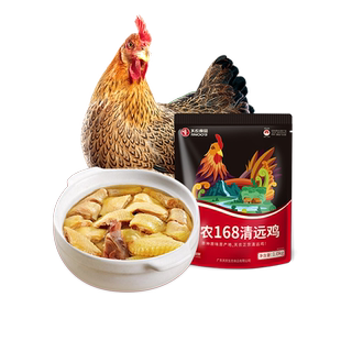 天农138-168天广东正宗清远鸡整只生鲜1KG农家散养土鸡新鲜走地鸡