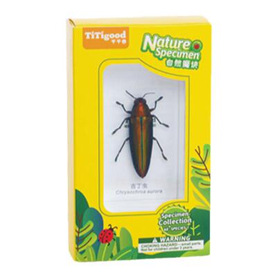 千千谷科学实验幼儿园教具启蒙