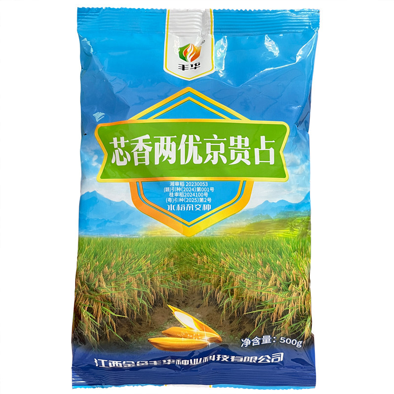 芯香两优京贵占高产抗倒香稻米种粮油/棉麻作物种子