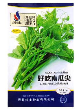 南瓜尖种籽南瓜苗种子