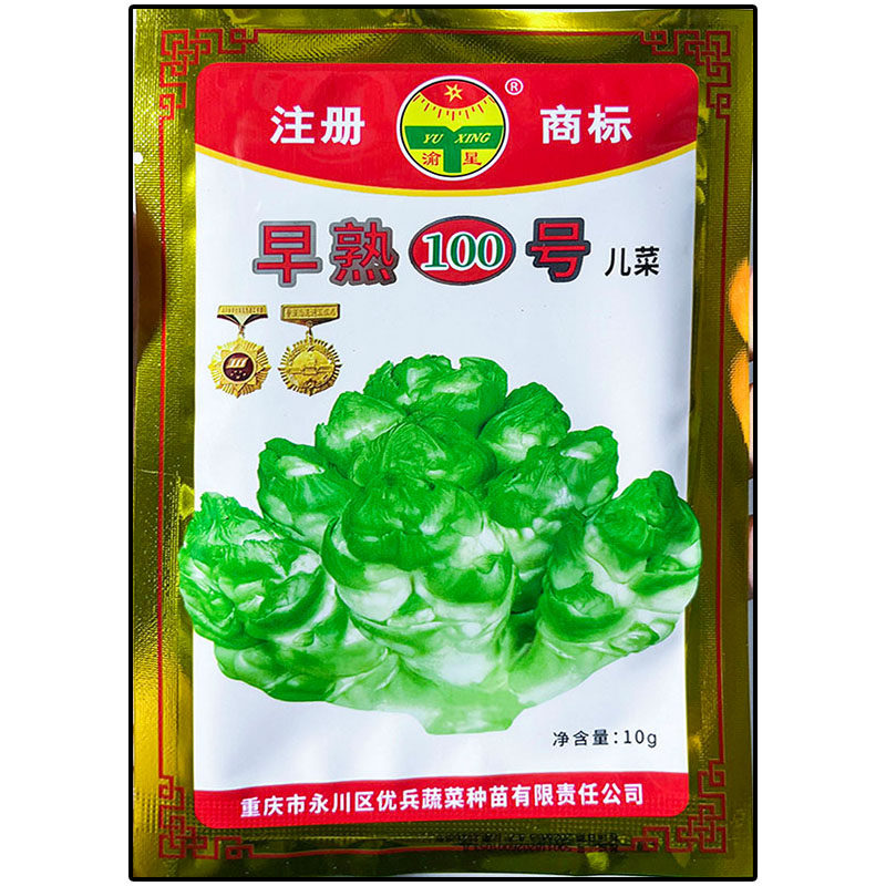 早熟100号儿蔬菜种子孑籽超生菜