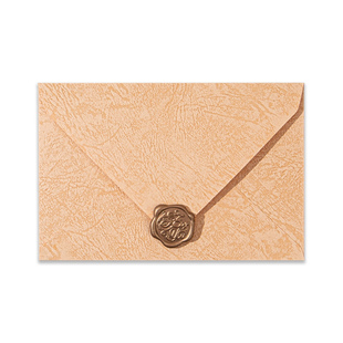 香水树纹信纸信封套装一封情书送男女友浪漫文艺高级感玫瑰手写信笺纸感谢信情人节表白情侣复古信封加写信纸