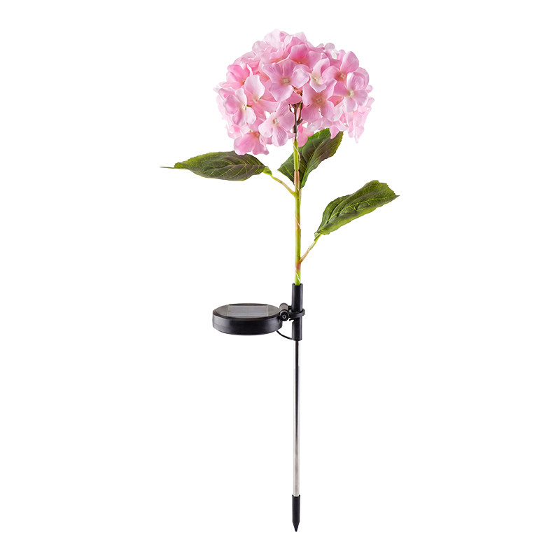 72朵花瓣庭院氛围更温馨