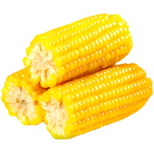 东北富硒地黄糯新鲜儿童糯玉米甜玉米真空锁鲜即食早餐玉米棒10支