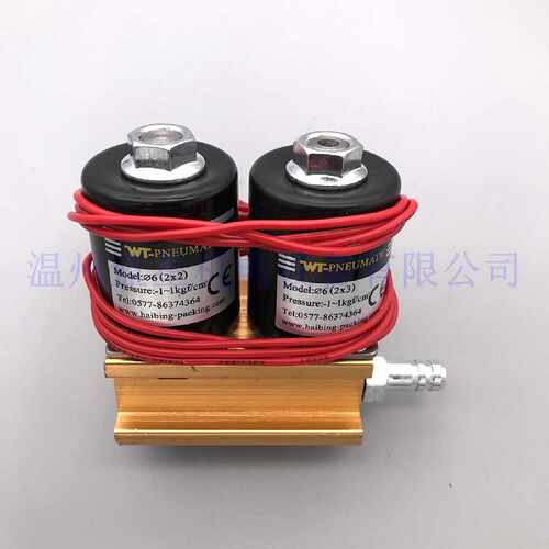 议价WT-PNEUMATIC海滨包装厂电磁阀组合阀6(2X2)和6(2X3) 220V 24