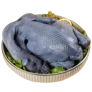 乌鸡新鲜现杀正宗农家散养土鸡生鲜冷冻乌骨鸡肉孕妇老人营养煲汤