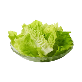 良道天成【无麸质有机意大利生菜】新鲜应季蔬菜无农残沙拉顺丰
