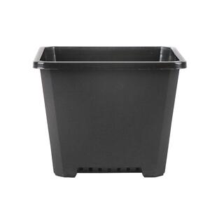 多肉花盆景天小方盆景天盆多肉白方塑料小黑方加厚花卉绿植育苗盆