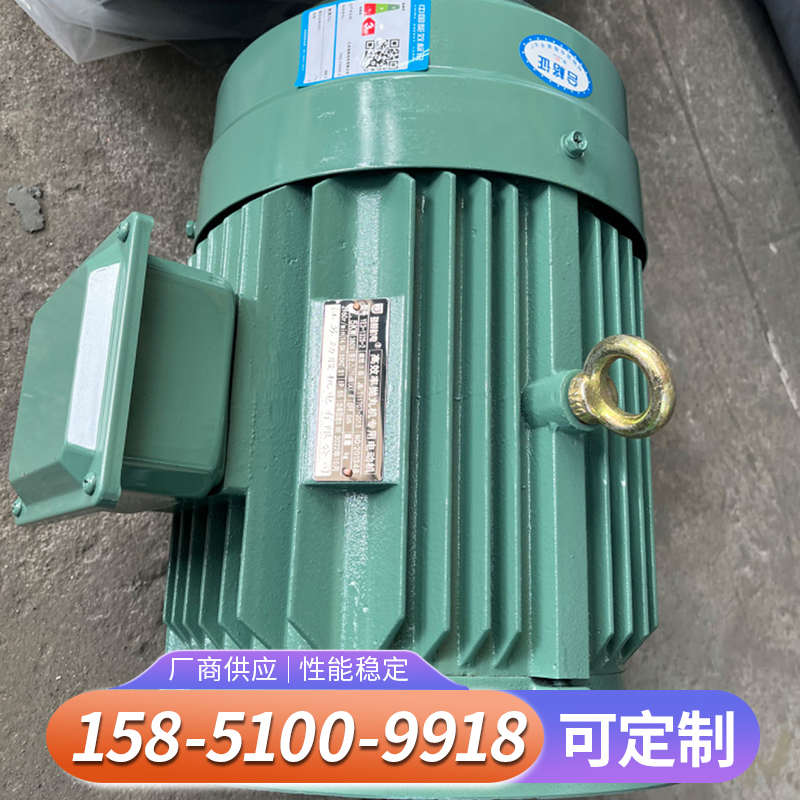 抛丸电机 东台中微特 打沙机喷砂机除锈减速机抛头总成配件新型