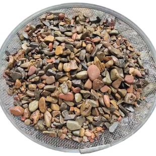 原生态溪流砂鱼缸装饰底砂水族溪流缸铺底天然溪流砂造景石溪流沙