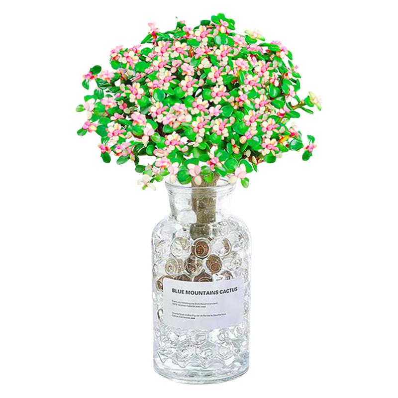 金枝玉叶盆栽老桩盆景水培多肉植物室内办公桌面绿植花卉好养肉肉