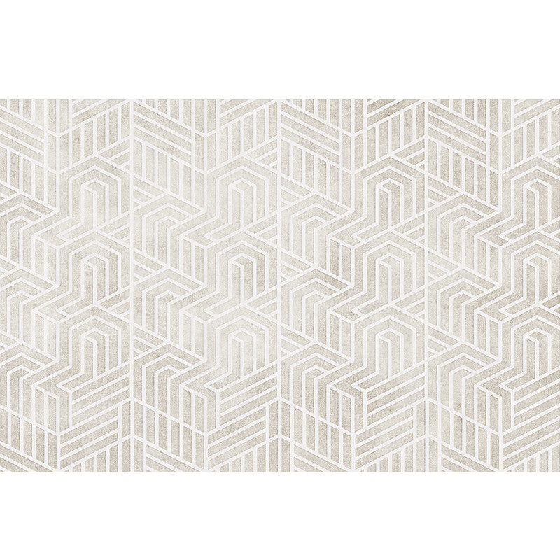 诗缇现代轻奢入户门玄关地垫