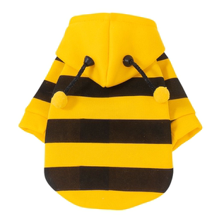 小蜜蜂猫咪衣服秋冬装金渐层银渐层橘猫矮脚猫咪卫衣加绒保暖衣服