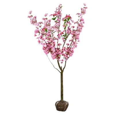 海棠花树苗庭院植物绿化观赏户外当年常青开花园西府北美地栽耐寒