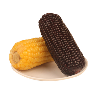 正宗应季黄糯玉米真空包装袋装黑糯玉米黏糯苞米独立包装低脂早餐