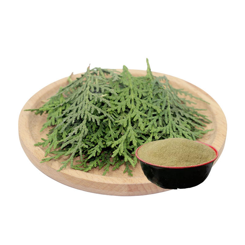 天然茶枯粉侧柏叶传统洗发水养发包茶麸饼茶籽泡脚皂角粉去屑止痒
