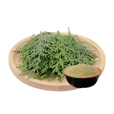 天然茶枯粉侧柏叶传统洗发水养发包茶麸饼茶籽泡脚皂角粉去屑止痒