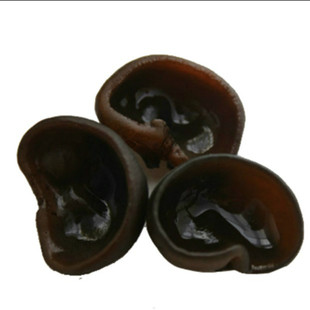 武夷山野生岩耳 野生云耳 黑木耳 石耳包邮 农家土特产