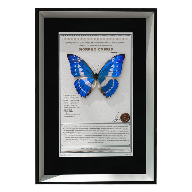 蝴蝶歌剧院｜原创塞浦路斯闪蝶罕见标本生日礼物法式高级装饰画