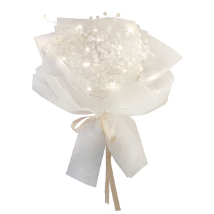 ins满天星花束手工diy材料带灯送男友网红干花成品女闺蜜生日礼物