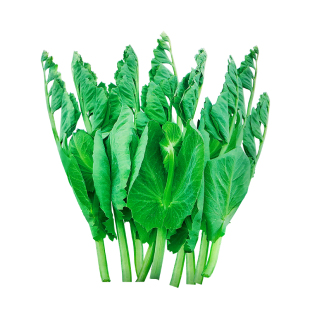 四川大无须豌豆尖种子豌豆苗籽芽苗菜种籽水培秋季种植蔬菜籽大全