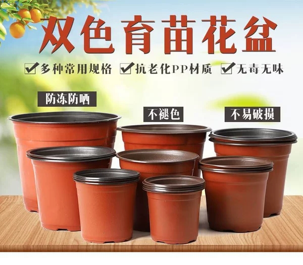 Товары от 仙女小龙虾