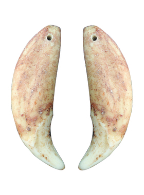 原牙狼牙吊坠男狗牙项链女儿童宝宝配饰本命年情侣真品黑狗牙挂件