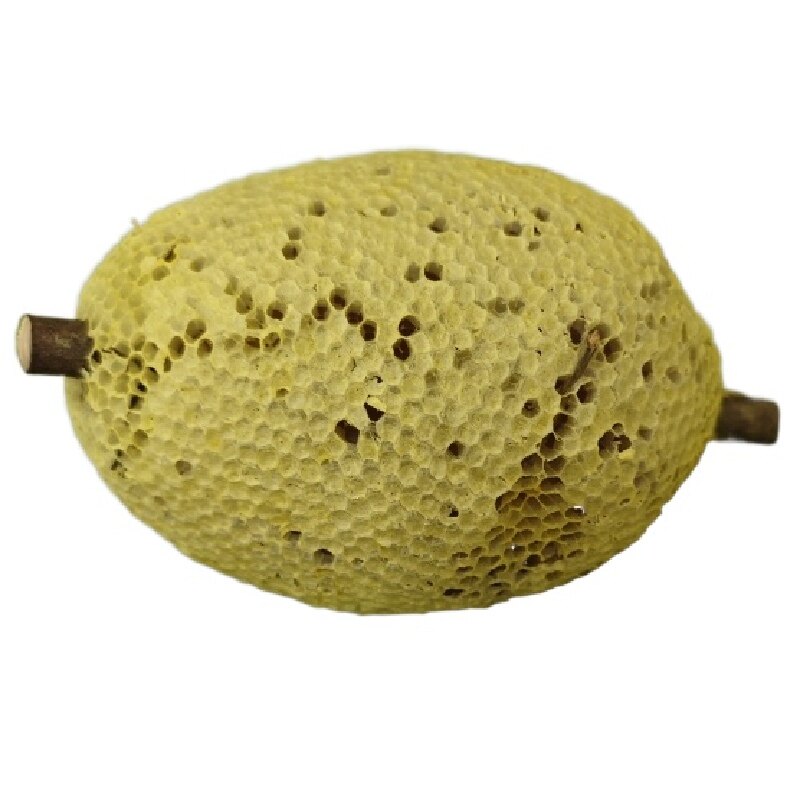 树枝小挂蜂巢蜜按图选整个发