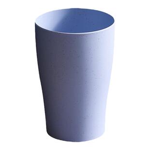 10个装水果汁瓶子家庭水杯带勺子300ML柠檬泡茶杯 网红款杯子防摔