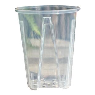 高透明青山控根盆水苔蝴蝶兰花专用观根花盆塑料热绿植盆大号家用