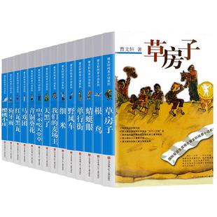 曹文轩纯美小说系列 儿童文学书籍全套14册 青铜葵花草房子樱桃小庄根鸟细米三四五六年级下册小学生必读课外书少儿读物老师 阅读