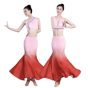 新款傣族舞蹈演出服装练功裙表演服傣族服装女舞裙孔雀舞艺考服装