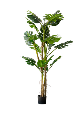 仿真绿植大型巨型龟背树盆景植物
