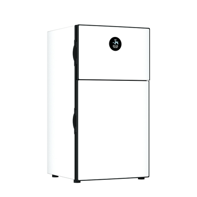 东之开立双开门大冷冻小型冰箱