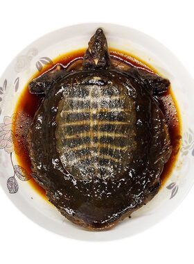 鲜活现卤麻辣五香卤味即食甲鱼肉