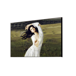 宾馆酒店墙画客厅有框画装饰画房间挂画油画卧室美女壁画横版单幅