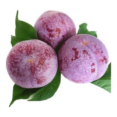 现货！红心三华李现摘脆甜爽口