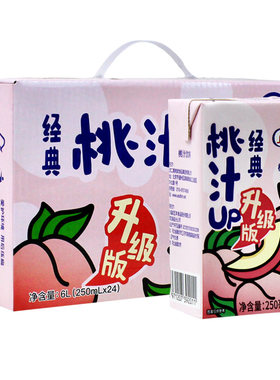 摩奇经典桃汁饮料250ml*24盒