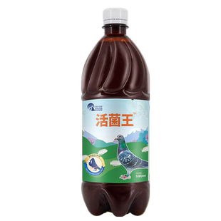 鸽活菌王鸽子赛鸽鸟信鸽子常备益生菌活菌王鸽用鸽鸽鹦鹉益生菌