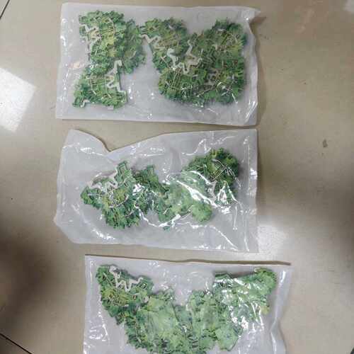 WAGO 万可  接线端子 全新 三包，每包10个，有意私聊