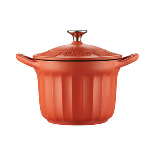 北鼎铸铁珐琅锅焖煮锅家用炖锅一人食煲仔饭砂锅煲汤油炸锅16cm